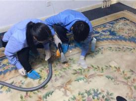 北京地毯地面清洗