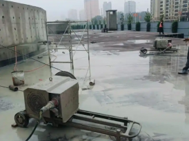 展示案例